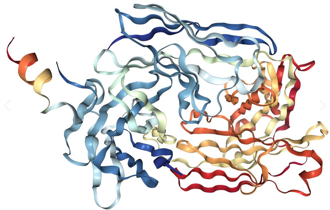 Anti-Rituximab (variable regio