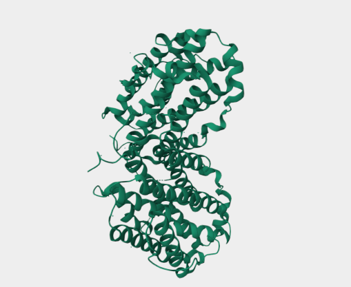 Anti-RRM2 mAbs