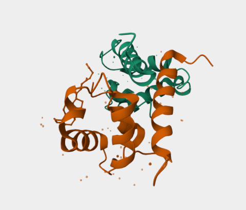 Anti-S100A9 mAbs