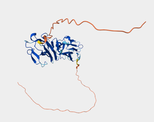 Anti-Sag1 mAbs