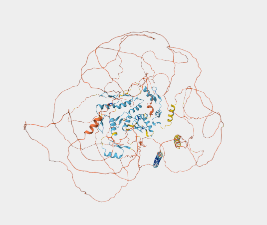 Anti-SALL1 mAbs