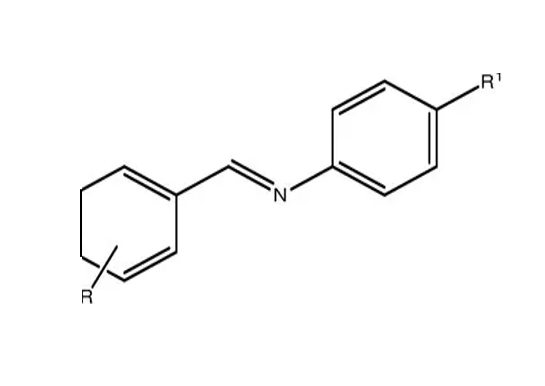 Anti-Salmonella typhi mAbs