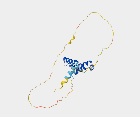 Anti-SCAND1 mAbs