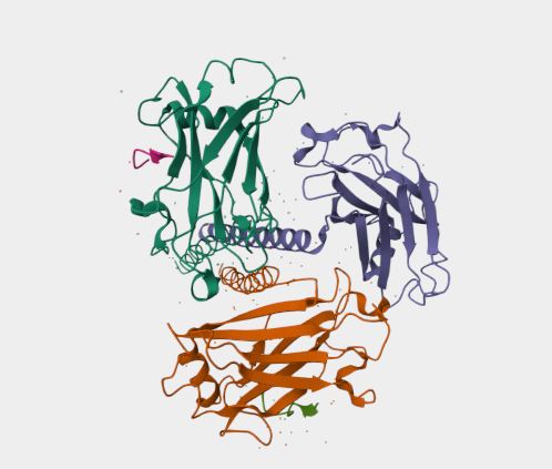 Anti-sCD40 mAbs