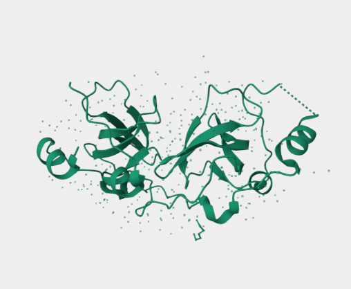 Anti-SCML2 mAbs