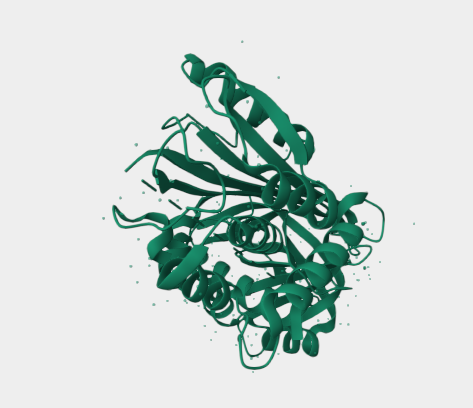 Anti-SERPINA6 mAbs