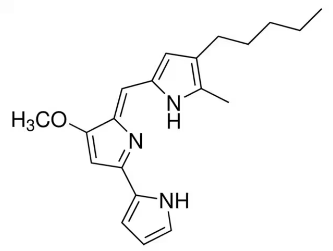 Anti-Serratia marascens   mAbs