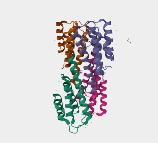 Anti-Serum amyloid A protein m