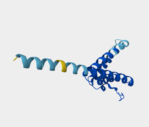 Anti-Serum amyloid A protein m