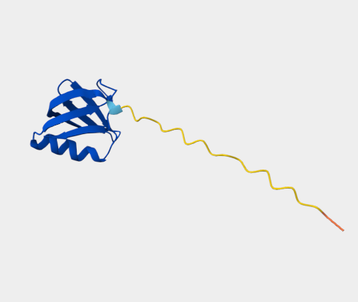 Anti-Shiga toxin 1 mAbs