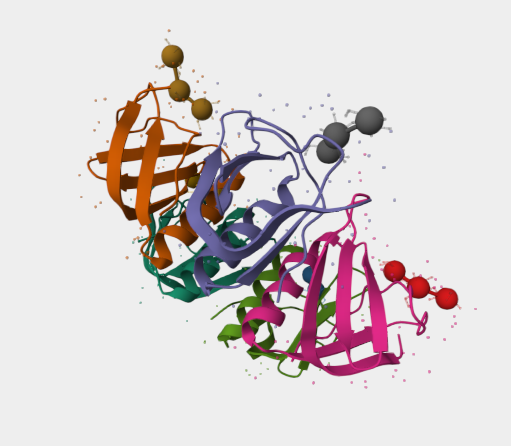 Anti-Shiga-like toxin 1 mAbs