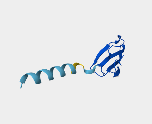 Anti-Short neurotoxin 2 mAbs