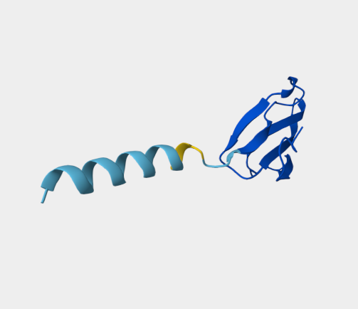 Anti-Short neurotoxin SN160 mA