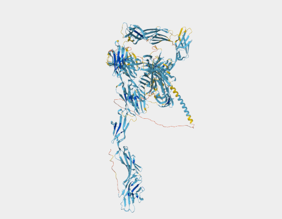 Anti-Sialoadhesin mAbs