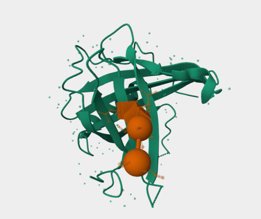 Anti-Siderocalin mAbs