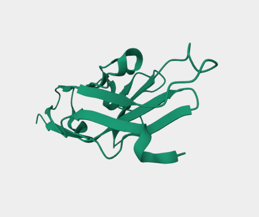 Anti-Siglec-7 mAbs