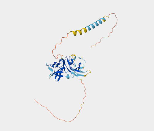 Anti-SIRPB2 mAbs