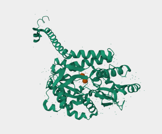 Anti-SIRT7 mAbs