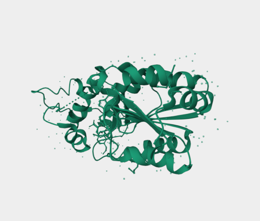 Anti-SIRT5 mAbs
