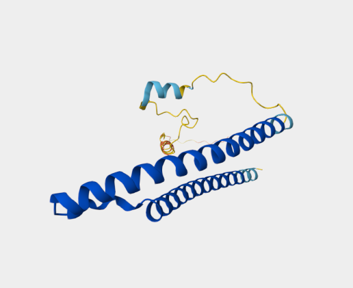 Anti-skeletal troponin I mAbs