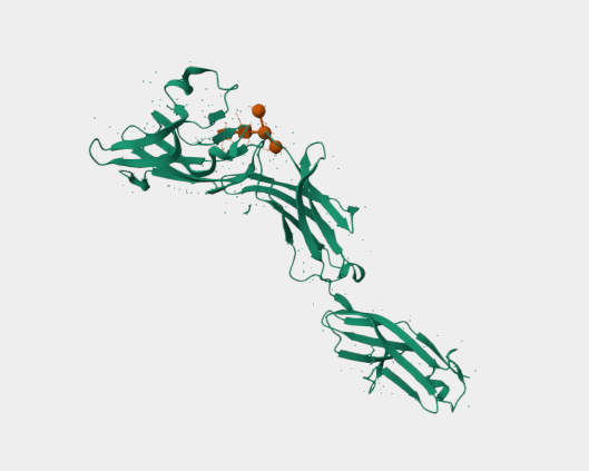 Anti-SM03 mAbs