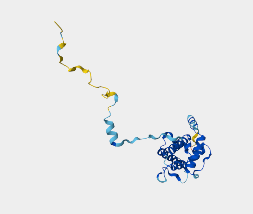 Anti-SM22 Transgelin / TAGLN m
