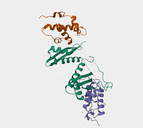 Anti-SMARCC2 mAbs