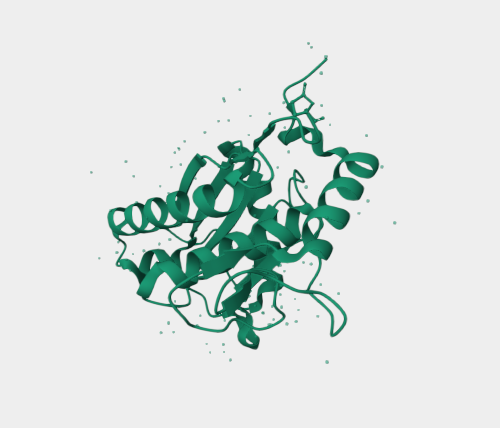 Anti-Snake venom metalloprotei