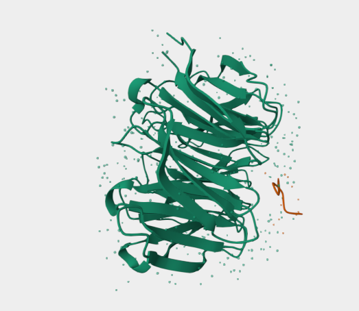 Anti-spike protein mAbs