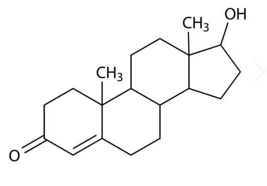 Anti-Testosterone mAbs