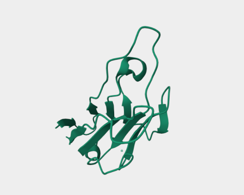 Anti-Tim-3 mAbs
