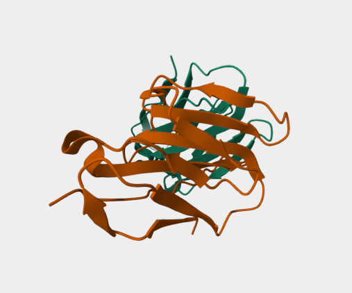 Anti-TIM-3 mAbs