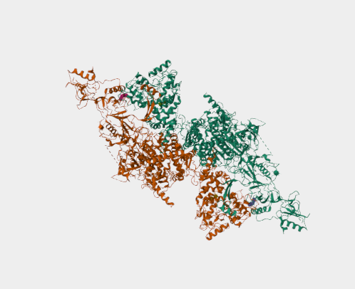 Anti-Thyroglobulin mAbs