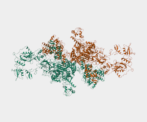 Anti-Thyroglobulin mAbs