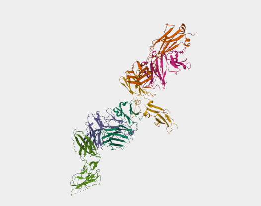 Anti-Tissue factor mAbs