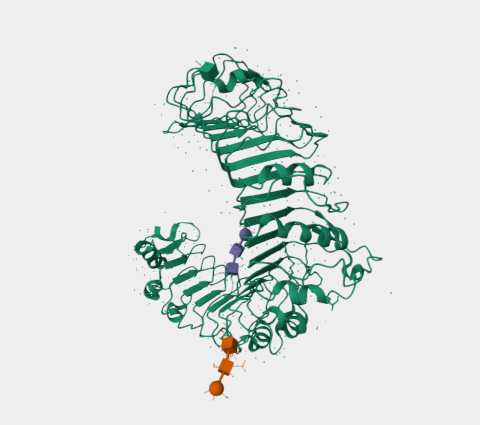 Anti-TLR2 mAbs