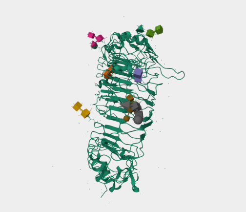 Anti-TLR3 mAbs