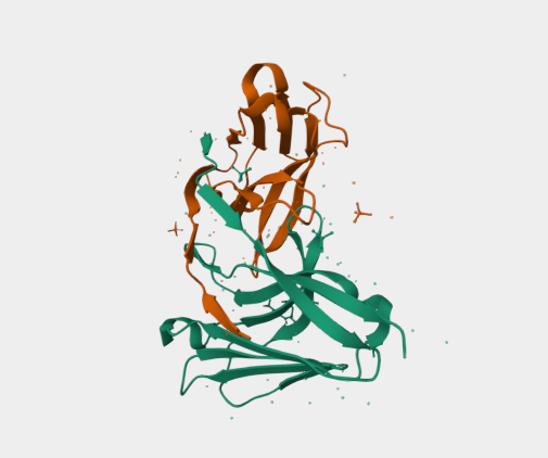 Anti-TREM-1 mAbs