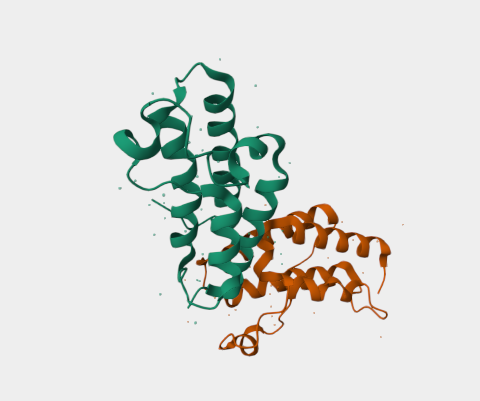 Anti-TRIM24 mAbs