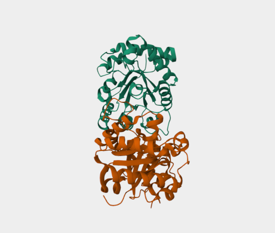 Anti-triosephosphate isomerase