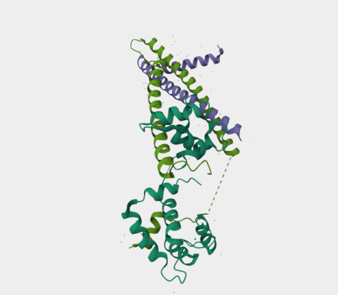 Anti-troponin I mAbs