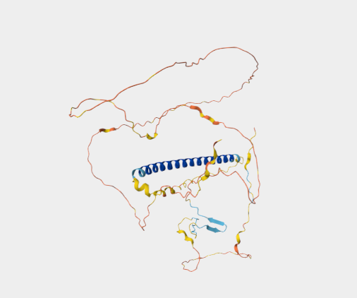 Anti-TSC22D4 mAbs