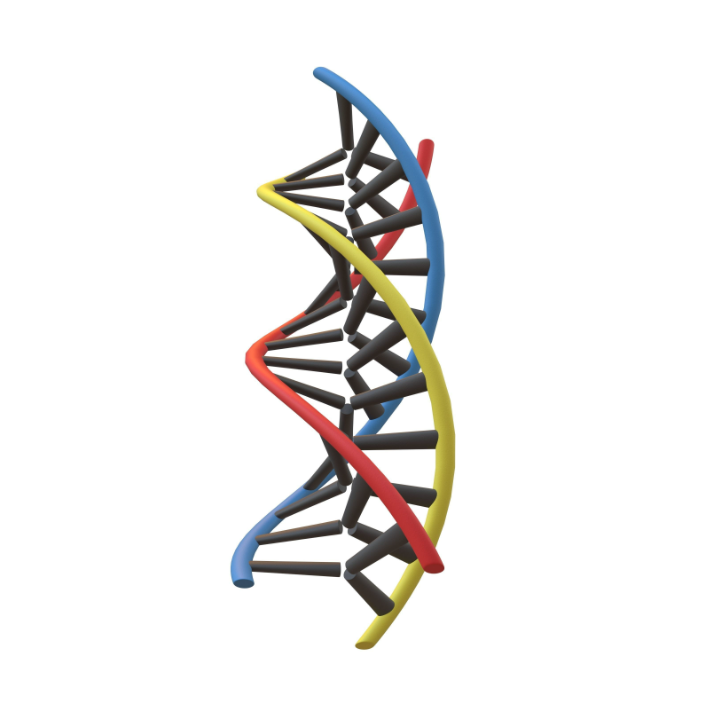 Anti-Triplex DNA mAbs