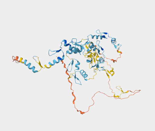 Anti-ZNF319 mAbs