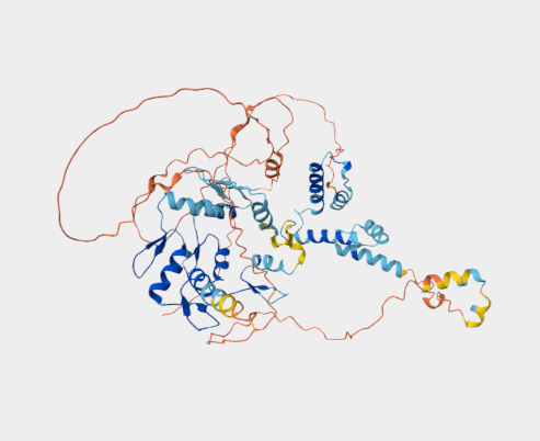 Anti-ZNF394 mAbs