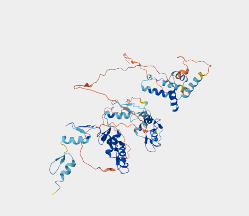 Anti-ZNF397 mAbs