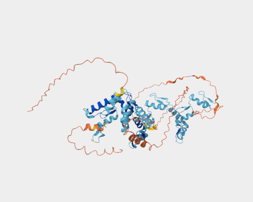 Anti-ZSCAN12 mAbs