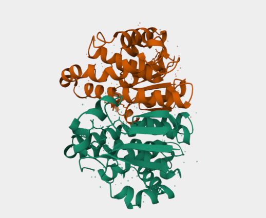 Anti-GSTP1 mAbs [SAIC-22D-22](MABL-3418)