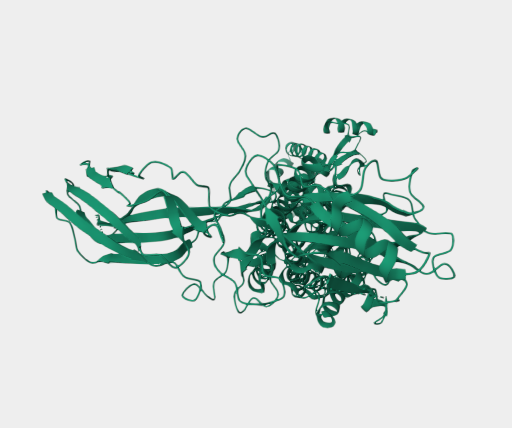 Anti-Rhodopsin mAbs [Rho 1D4](MABL-3420)