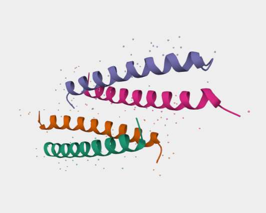Anti-GCN4 mAbs [C11L34](MABL-3422)